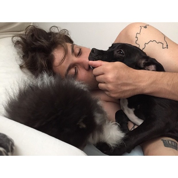 Chay Suede na cama com cachorros (Foto: Instagram)
