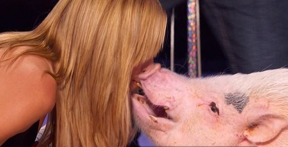 Heidi Klum beija porco em programa (Foto:  credito NBC/ Reprodução)
