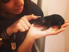 Anitta publica foto com cachorrinho de Preta Gil