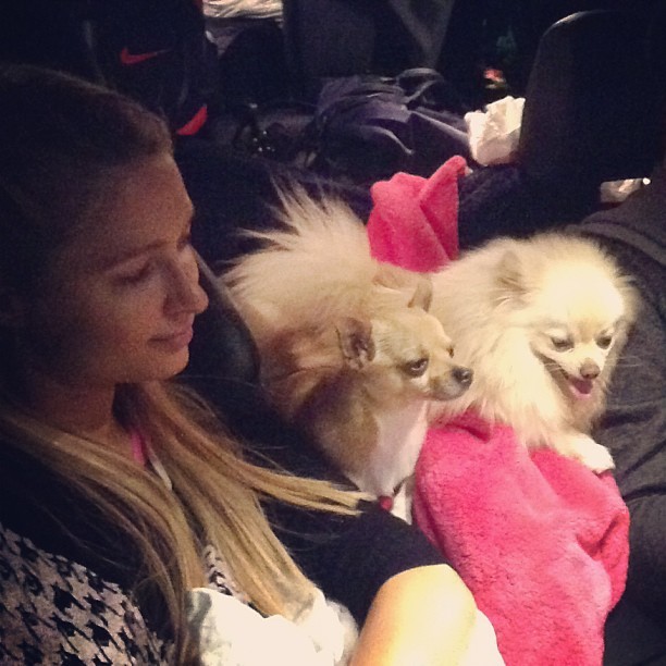 Paris Hilton e seus cães de estimação (Foto: Reprodução/Instagram)