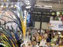 Quitéria Chagas desfila mais cheinha em carnaval do Rio