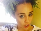 Miley Cyrus polemiza ao posar com plantas de maconha no cabelo
