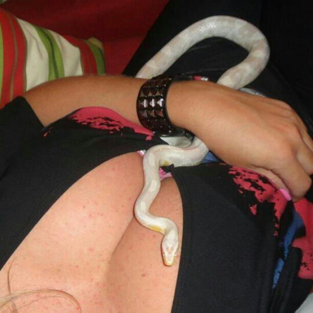 Sabrina Boing Boing posta foto com cobra nos seios (Foto: Instagram / Reprodução)