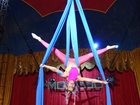 Karina Bacchi mostra elasticidade e boa forma em exercício de circo