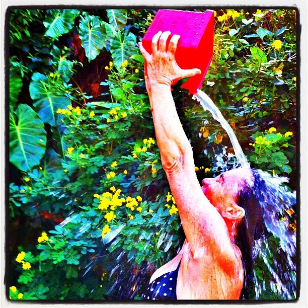Regina Duarte toma banho de balde (Foto: Instagram)
