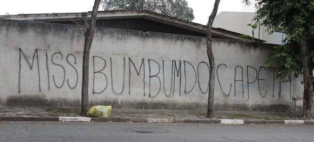 Muro da casa da Andressa Urach (Foto: Thiago Duran/Agnews)