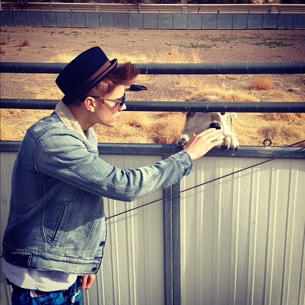 Justin Bieber faz carinho em bicho, mas faz mistério: 'Não é um cachorro' (Foto: Instagram)