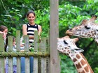 Katie Holmes e a filha Suri Cruise alimentam girafas no zoológico