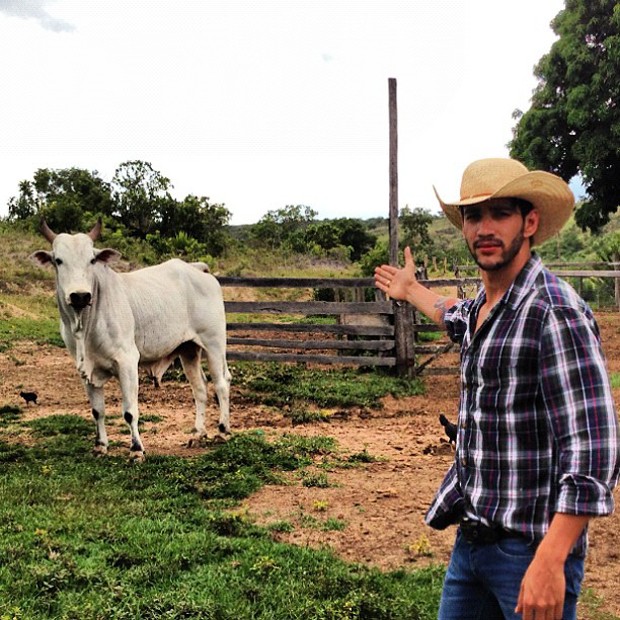 Gusttavo Lima posta foto com o novo boi (Foto: Instagram / Reprodução)