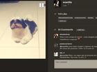 Anitta posta vídeo do cão de estimação: 'Alfredo ganhou presente'