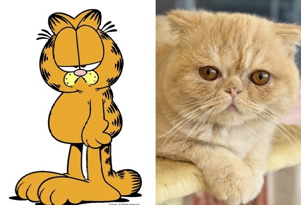 Bidu, Garfield e Pluto: veja as raças dos pets mais famosos da