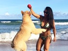 Scheila Carvalho brinca com cachorro na praia e mostra corpão