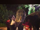 Rihanna tira foto com elefantes em viagem pela Tailândia