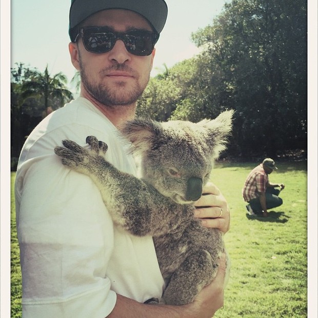 Justin Timberlake posa com coala na Austrália (Foto: Instagram/ Reprodução)