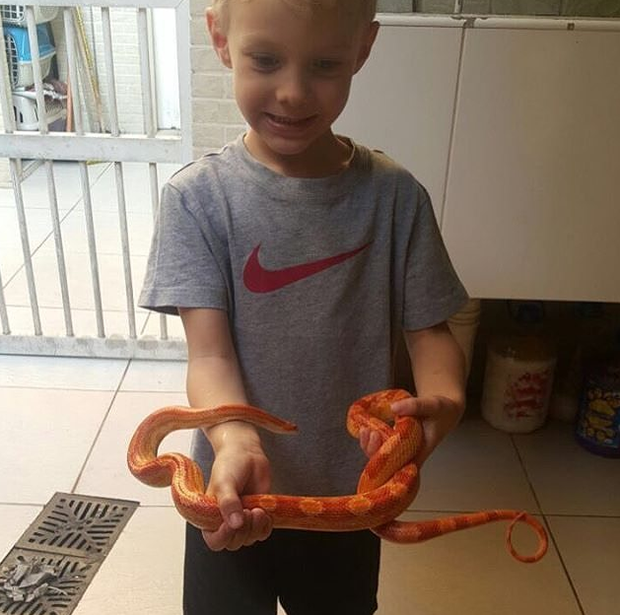 Davi Lucca com uma cobra (Foto: Reprodução/Instagram)