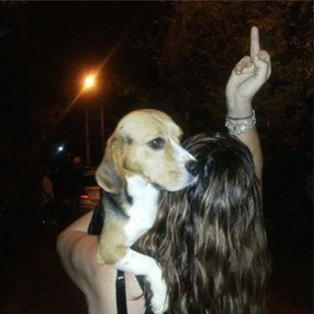 Fabiana Justus posta foto sobre Beagles (Foto: Instagram/Reprodução)