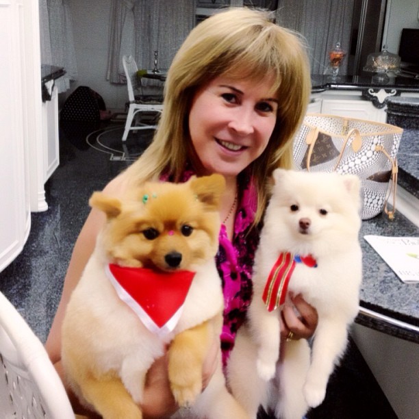 Zilu posta foto com os cachorros (Foto: Instagram / Reprodução)