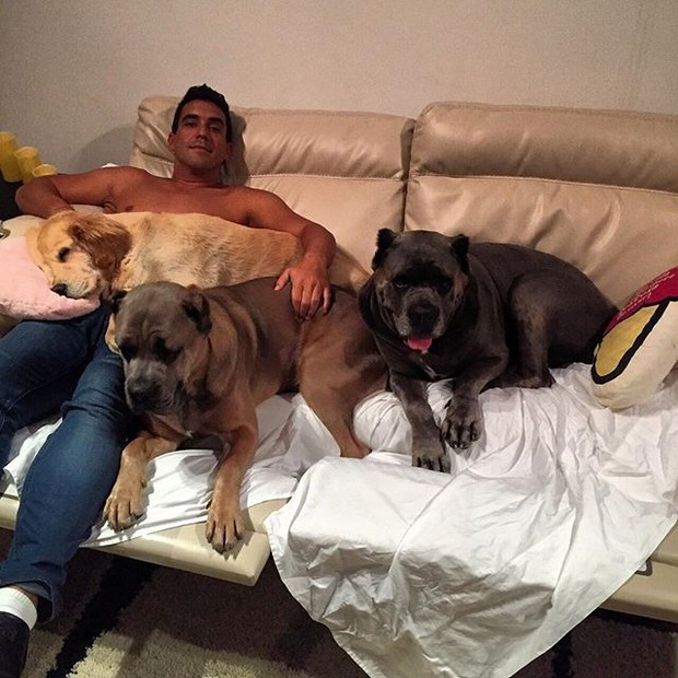 André Marques com seus cachorros (Foto: Instagram/ Reprodução)