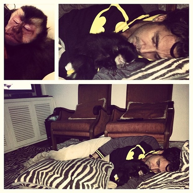 Latino dorme com macaco de estimação (Foto: Reprodução/Instagram)