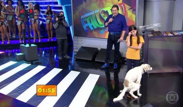 Cachorro faz cocô no palco do Domingão do Faustão (Foto: Reprodução/Globo)