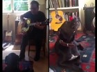 Kiefer Sutherland toca violão e faz 'dueto' com o cão de estimação