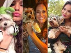 Thor e Mel são os nomes de cães mais populares no Brasil; veja lista!
