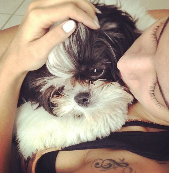 Anitta com cachorrinho (Foto: Instagram / Reprodução)