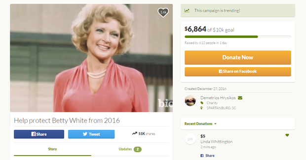Página de financiamento coletivo para proteger Betty White (Foto: Reprodução )
