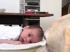 Fofura! Luisa Mell posta foto do filho com cachorro de 'babá': 'Dog sitter'