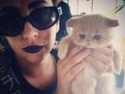 Fofo! Lady Gaga posta foto com gatinho de estimação