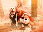Luisa Mell posa em clima natalino com filho e cachorro