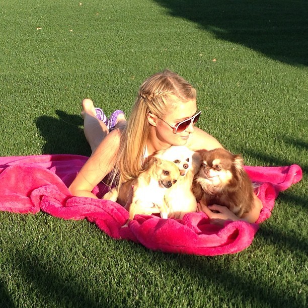 Paris Hilton em momento relax com as suas cachorrinhas (Foto: Reprodução/Instagram)