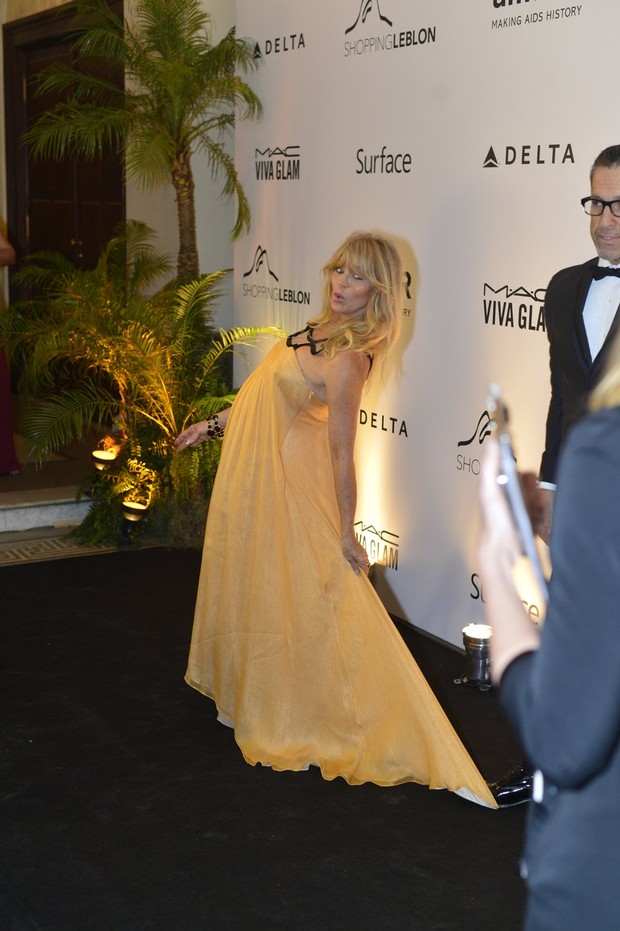 Goldie Hawn (Foto: André Muzell e Alex Palarea/AgNews)