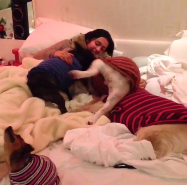 Gracyanne Barbosa com cachorrinhos (Foto: Instagram / Reprodução)