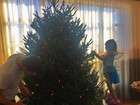 Gisele Bündchen mostra Tom Brady e a filha montando árvore de Natal