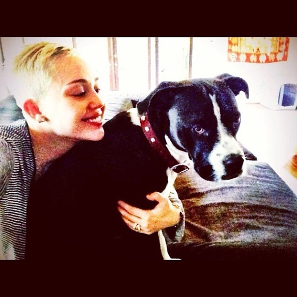 Miley Cyrus posta foto com o cachorro (Foto: Instagram / Reprodução)