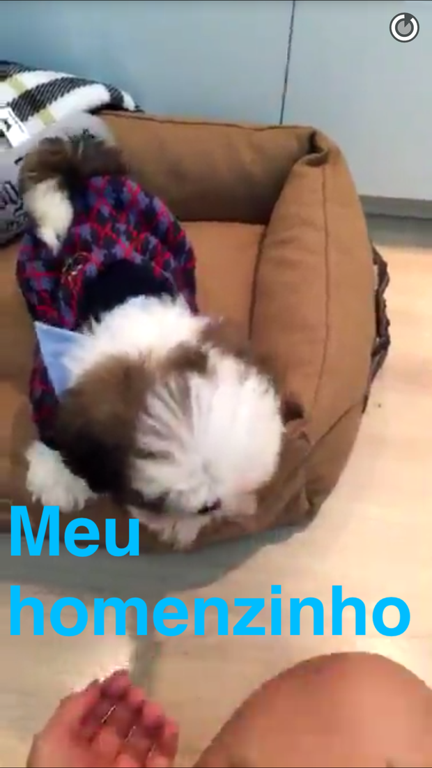 cachorrinho de Bruna Marquezine (Foto: Reprodução/Snapchat)