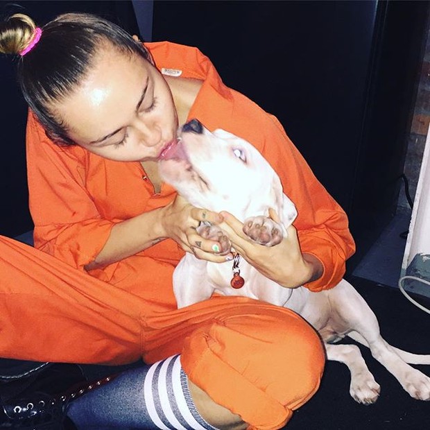 Miley Cyrus beija cachorro (Foto: Instagram/Reprodução)