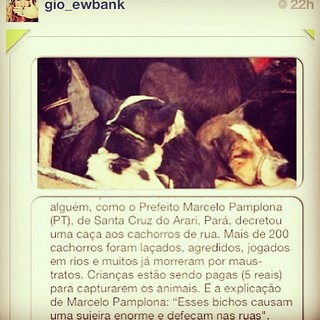 Giovanna Ewbank posta sobre animais em seu Instagram (Foto: Instagram / Reprodução)