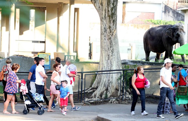 Coolen Rooney leva os filhos a zoológico no Rio (Foto: ANDRÉ FREITAS E HENRIQUE OLIVEIRA/AGNEWS)