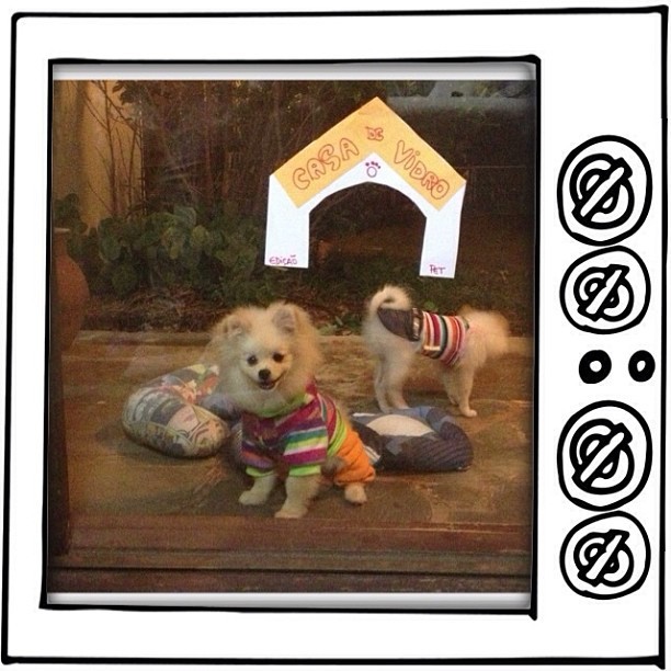As cachorrinhas de Karina Bacchi, Joy e Doll (Foto: Reprodução/Instagram)