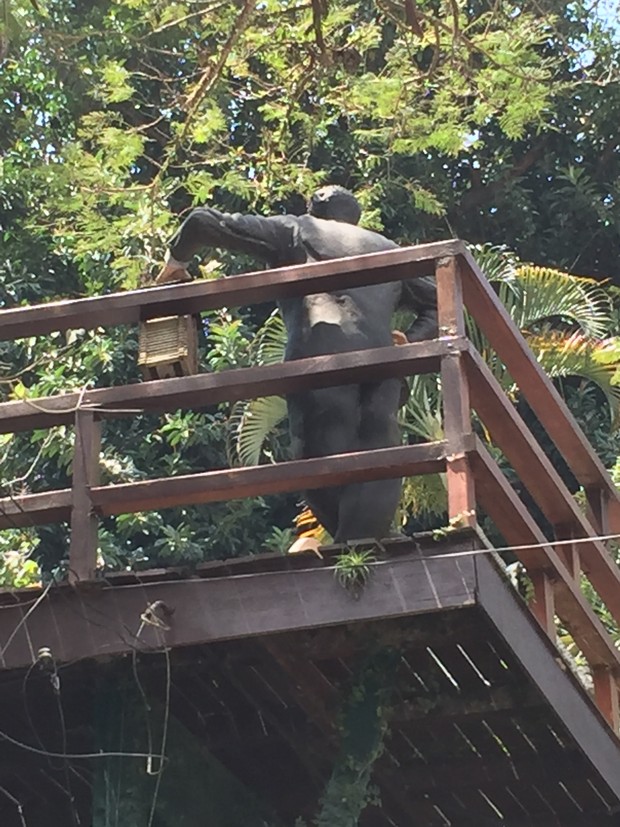 Detalhe da estátua de Luiz Carlos Miele na varanda de sua casa no Rio (Foto: EGO)