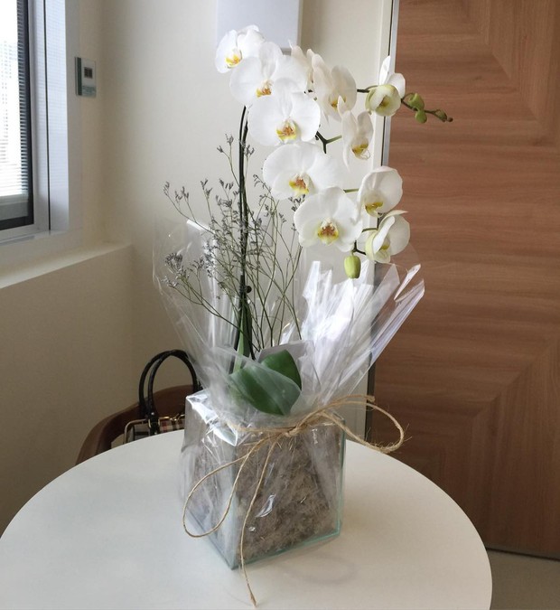 Zilu recebe flores no hospital (Foto: Reprodução / Instagram)