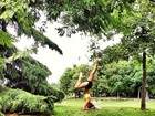 Giovanna Ewbank mostra corpo magrinho em dia de ioga ao ar livre