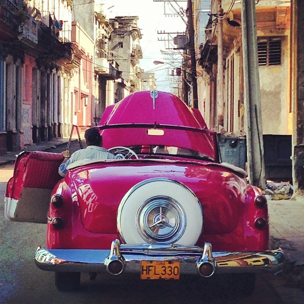 Nanda Costa posta foto de Havana (Foto: Instagram / Reprodução)