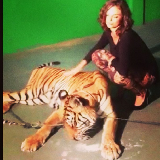 Isis Valverde posa ao lado de tigre (Foto: Instagram)