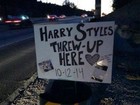 Fãs erguem 'santuário' em local onde Harry Styles vomitou