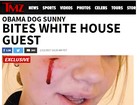 Cachorrinha de Barack Obama machuca amiga da família, diz site