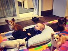 Ana Hickmann posta foto divertida do filho assistindo DVD com cachorros