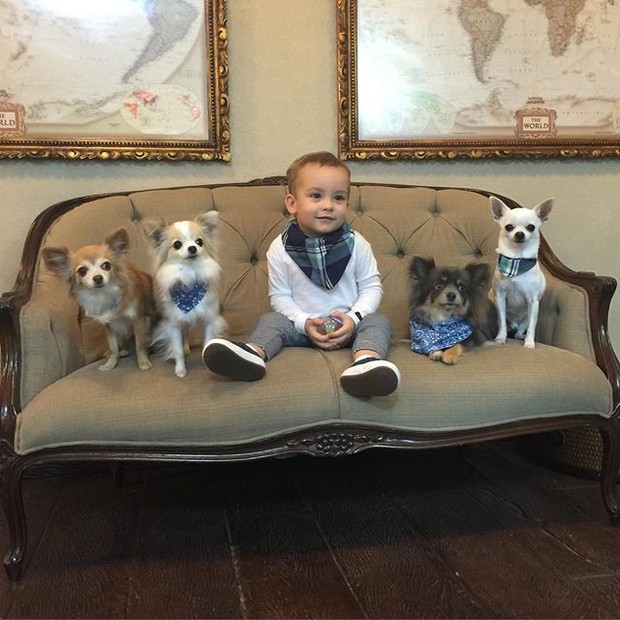 Ana Hickmann posta foto do filho com os cachorrinhos (Foto: Reprodução/Instagram)
